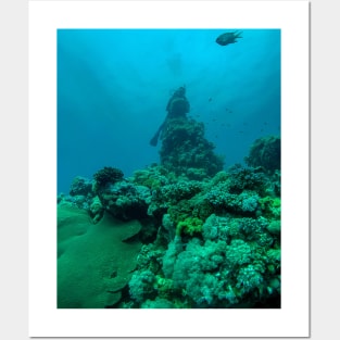 Coral reef and scuba diver Posters and Art